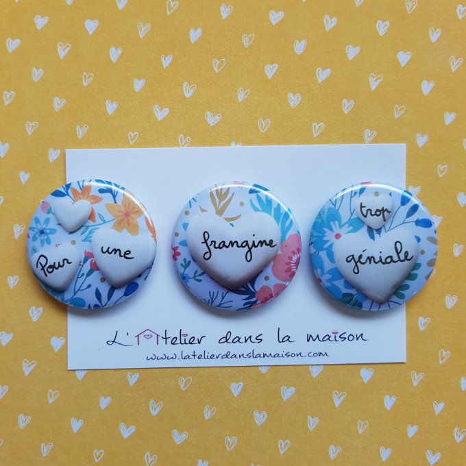 cadeau magnet soeur géniale