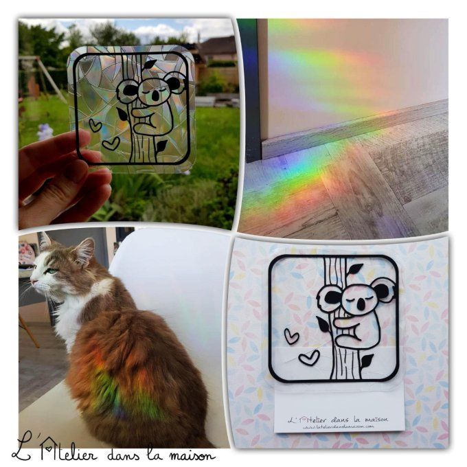 sticker koala arc-en-ciel